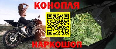 сатива Моздок