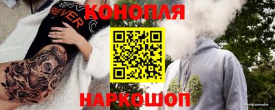 сатива Моздок