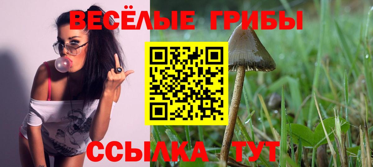 Галлюциногенные грибы MAGIC MUSHROOMS Серов